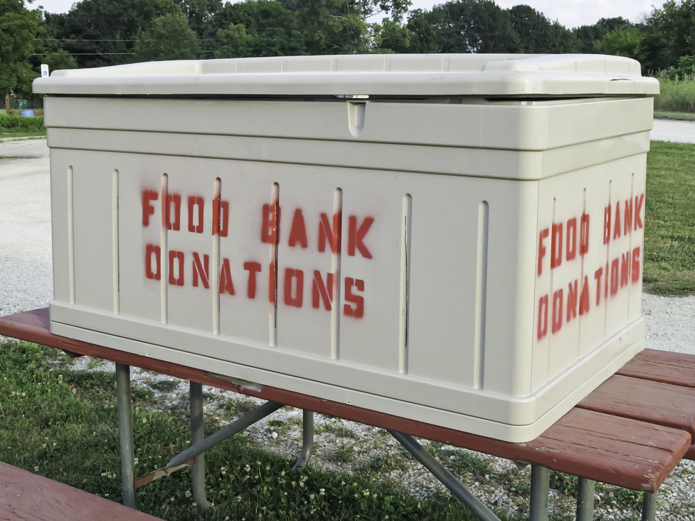 Food Bank Donation Box